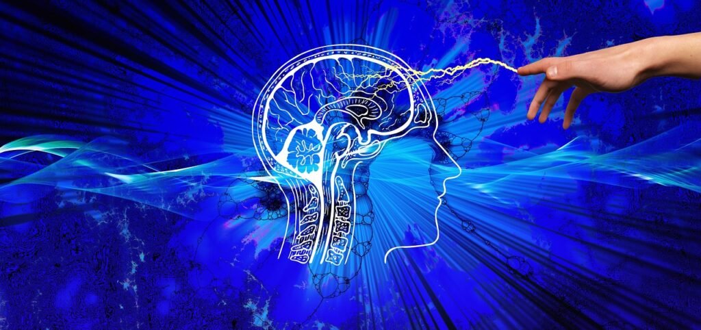 neurociência